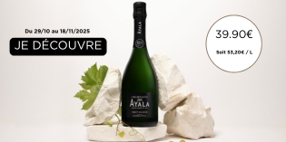 Ayala Version. FR - 315x157.jpg